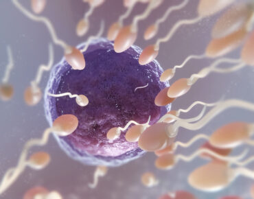 Sperm Health