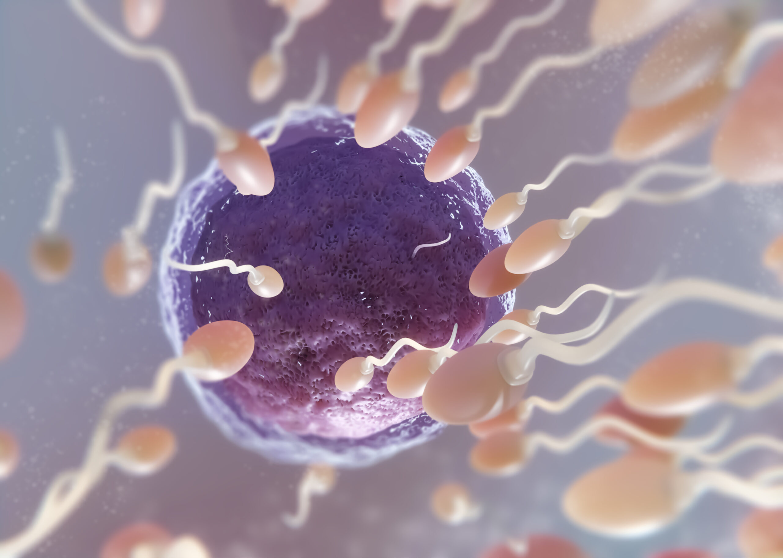 Sperm Health